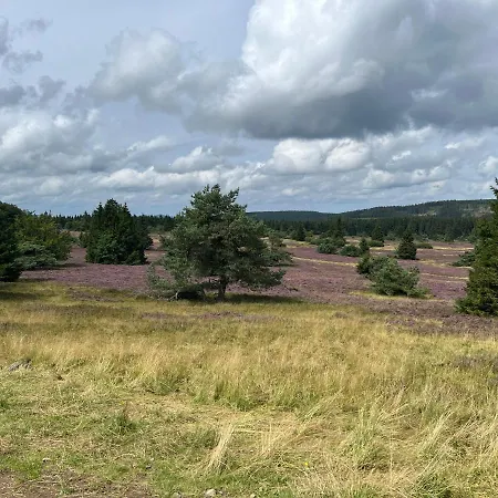 Apartment Uplandblockhaus *