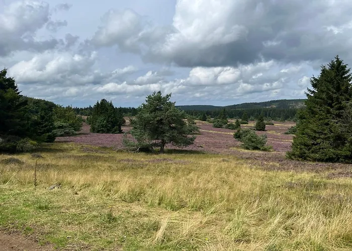 아파트 Uplandblockhaus *